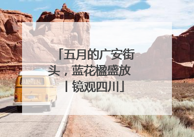 五月的广安街头，蓝花楹盛放丨镜观四川