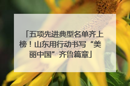 五项先进典型名单齐上榜！山东用行动书写“美丽中国”齐鲁篇章