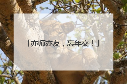 亦师亦友，忘年交！
