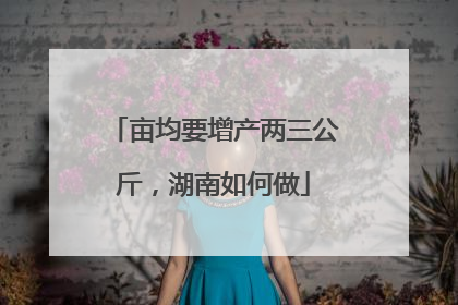 亩均要增产两三公斤，湖南如何做