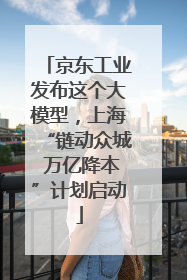 京东工业发布这个大模型，上海“链动众城 万亿降本”计划启动