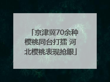 京津冀70余种樱桃同台打擂 河北樱桃表现抢眼