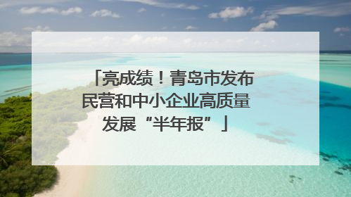 亮成绩！青岛市发布民营和中小企业高质量发展“半年报”
