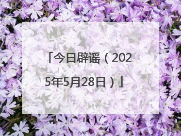 今日辟谣（2025年5月28日）