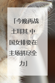 今晚再战土耳其 中国女排要在主场拼尽全力