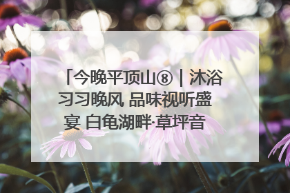 今晚平顶山⑧｜沐浴习习晚风 品味视听盛宴 白龟湖畔·草坪音乐会激情上演