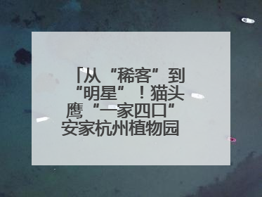 从“稀客”到“明星”！猫头鹰“一家四口”安家杭州植物园背后的守护