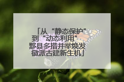 从“静态保护”到“动态利用” 黟县多措并举焕发徽派古建新生机