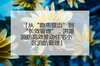 从“隐患整治”到“长效管理”，洪湖消防高效推动住宅小区消防管理