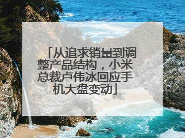 从追求销量到调整产品结构，小米总裁卢伟冰回应手机大盘变动