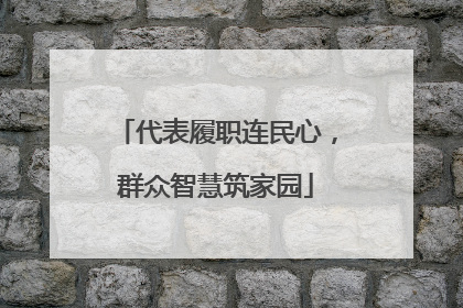 代表履职连民心，群众智慧筑家园