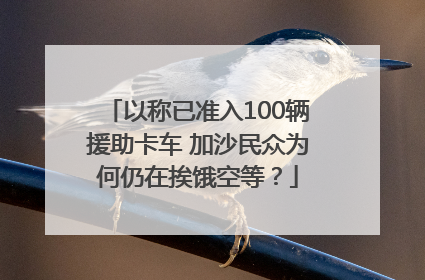 以称已准入100辆援助卡车 加沙民众为何仍在挨饿空等？