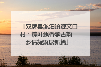 双牌县泷泊镇观文口村：粽叶飘香承古韵 乡情凝聚展新篇