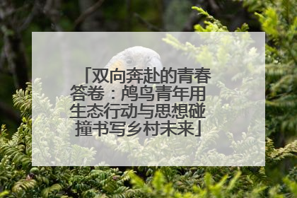 双向奔赴的青春答卷：鸬鸟青年用生态行动与思想碰撞书写乡村未来