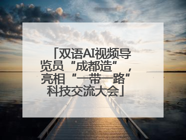 双语AI视频导览员“成都造”，亮相“一带一路”科技交流大会