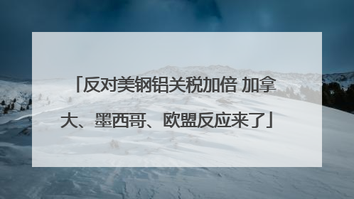 反对美钢铝关税加倍 加拿大、墨西哥、欧盟反应来了