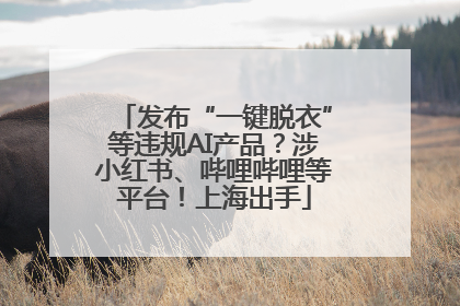 发布“一键脱衣”等违规AI产品？涉小红书、哔哩哔哩等平台！上海出手