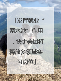 发挥就业“蓄水池”作用，快手美团将释放多领域实习岗位