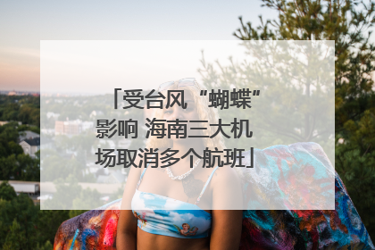 受台风“蝴蝶”影响 海南三大机场取消多个航班