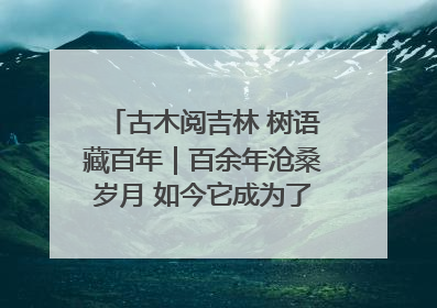 古木阅吉林 树语藏百年｜百余年沧桑岁月 如今它成为了“镇园之宝”