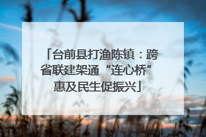 台前县打渔陈镇：跨省联建架通“连心桥” 惠及民生促振兴