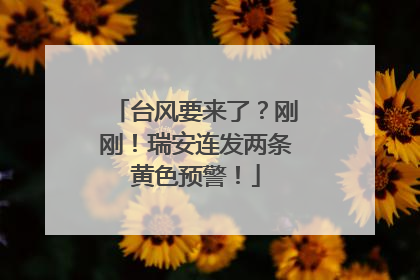 台风要来了？刚刚！瑞安连发两条黄色预警！
