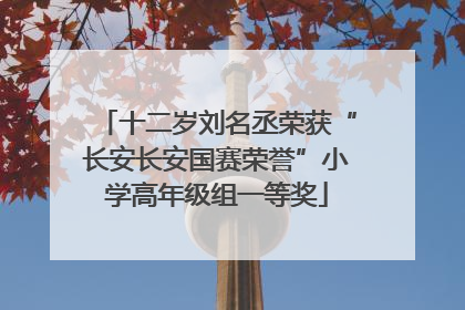 十二岁刘名丞荣获“长安长安国赛荣誉”小学高年级组一等奖