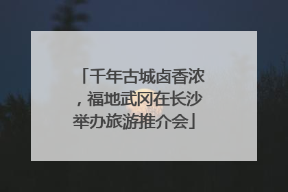千年古城卤香浓，福地武冈在长沙举办旅游推介会