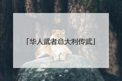 华人武者意大利传武