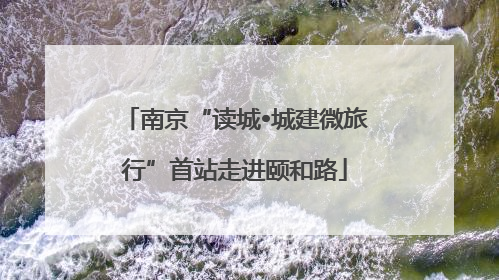 南京“读城•城建微旅行”首站走进颐和路