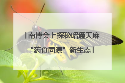 南博会上探秘昭通天麻“药食同源”新生态