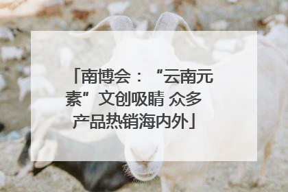 南博会：“云南元素”文创吸睛 众多产品热销海内外