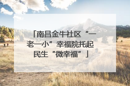 南昌金牛社区“一老一小”幸福院托起民生“微幸福”