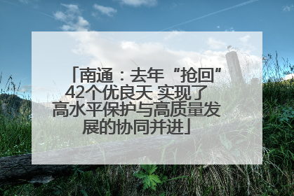 南通：去年“抢回”42个优良天 实现了高水平保护与高质量发展的协同并进