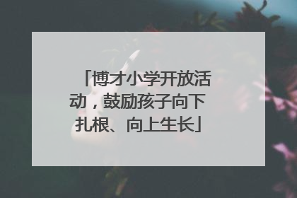 博才小学开放活动，鼓励孩子向下扎根、向上生长