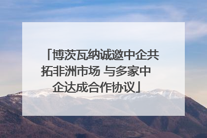 博茨瓦纳诚邀中企共拓非洲市场 与多家中企达成合作协议