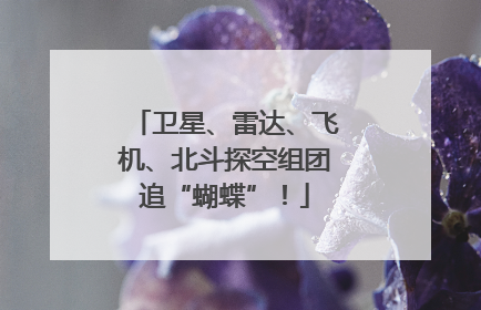 卫星、雷达、飞机、北斗探空组团追“蝴蝶”！