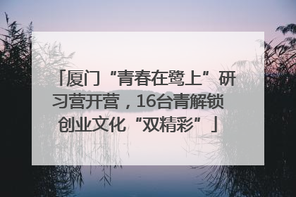 厦门“青春在鹭上”研习营开营，16台青解锁创业文化“双精彩”