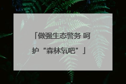 做强生态警务 呵护“森林氧吧”