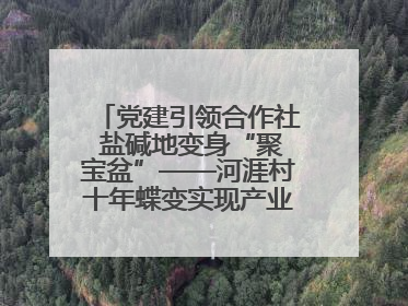 党建引领合作社 盐碱地变身“聚宝盆”——河涯村十年蝶变实现产业兴村群众富