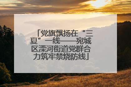 党旗飘扬在“三夏”一线——宛城区溧河街道党群合力筑牢禁烧防线