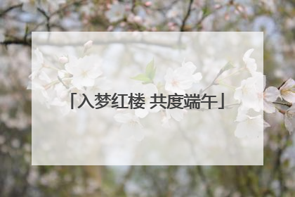 入梦红楼 共度端午