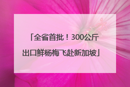 全省首批！300公斤出口鲜杨梅飞赴新加坡