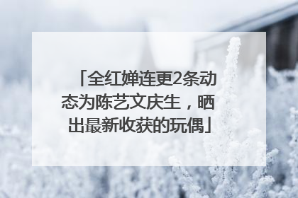 全红婵连更2条动态为陈艺文庆生，晒出最新收获的玩偶