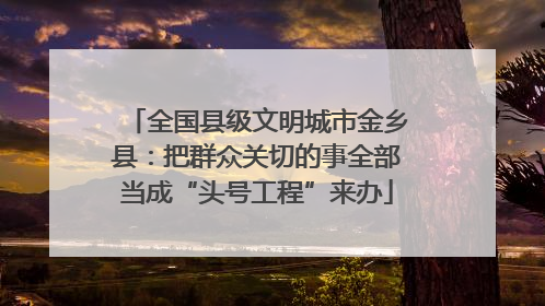 全国县级文明城市金乡县：把群众关切的事全部当成“头号工程”来办