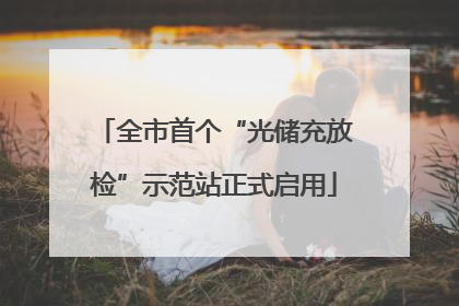 全市首个“光储充放检”示范站正式启用
