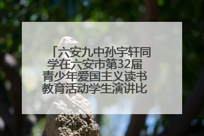 六安九中孙宇轩同学在六安市第32届青少年爱国主义读书教育活动学生演讲比赛中荣获一等奖