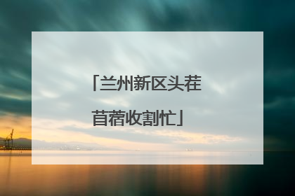 兰州新区头茬苜蓿收割忙