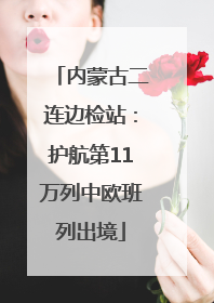 内蒙古二连边检站：护航第11万列中欧班列出境