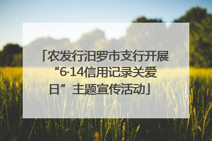农发行汨罗市支行开展“6·14信用记录关爱日”主题宣传活动